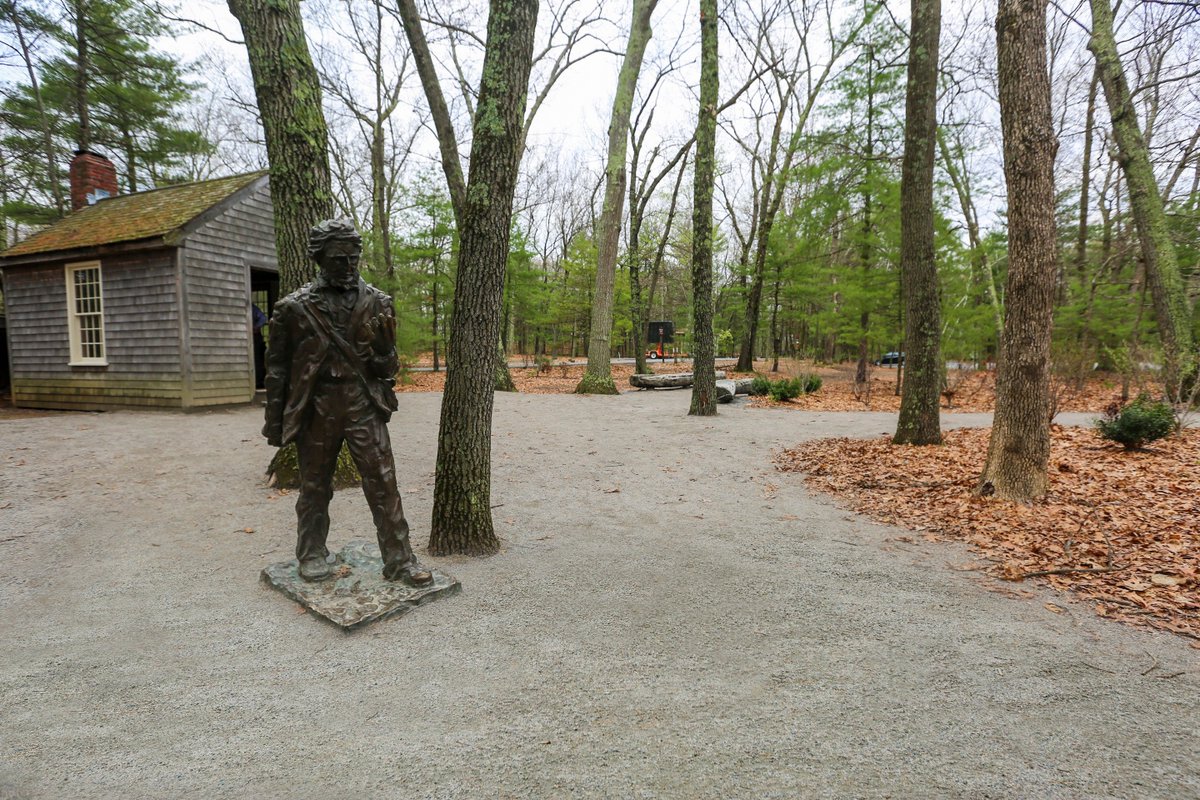 Professional Projects: Walden's Pond #pathwayprojects #landscapearchitects