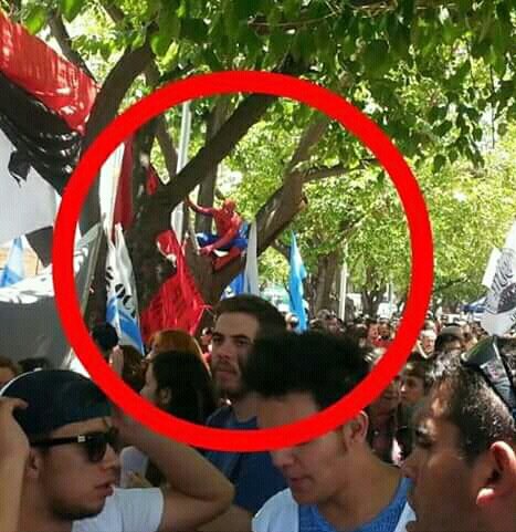 santi_ese's tweet photo. CON LA JUBILACIÓN DE LA TÍA MAY NO GATOS DE MIERDA https://t.co/ziFBFUDzz3