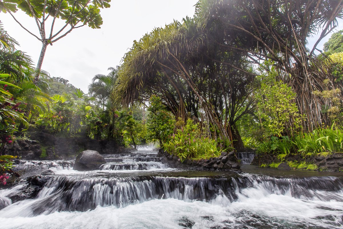 RicoTours's tweet photo. Have you heard the news? @TabaconResort is now a @Virtuoso Preferred Hotel! Congrats to our friends at Tabacon! We love their amazing hot springs. #CostaRica #Arenal #Travel https://t.co/2uW1FCjROe