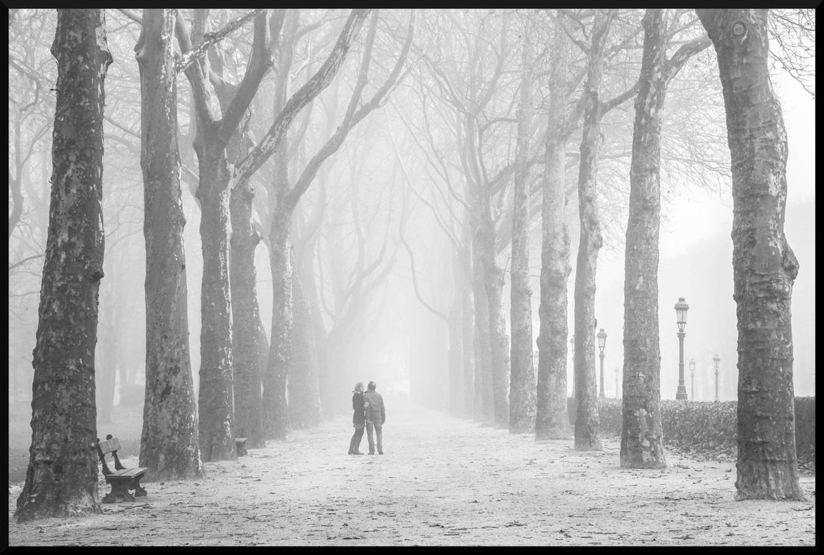 Love in the mist. Alain De Bouvère. Brussell, 2012