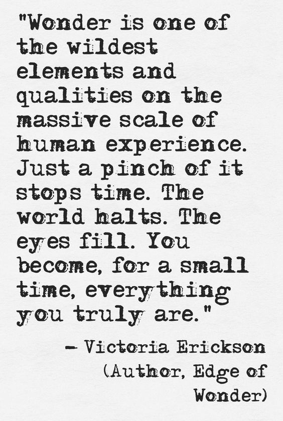 Don't forget to add Wonder into world and new year ahead!