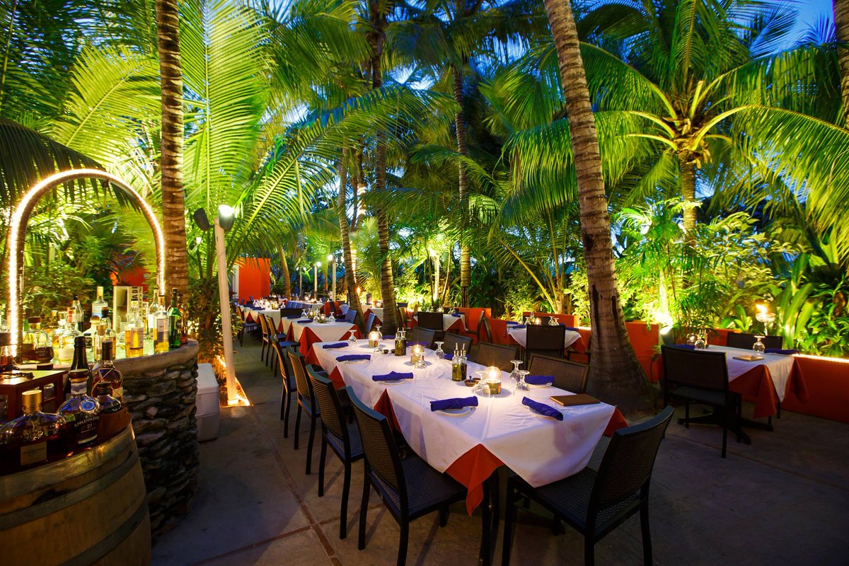 Dinner under the palms at #CocoBistro!