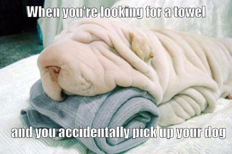 When you see it! tickld.community/t/1385358