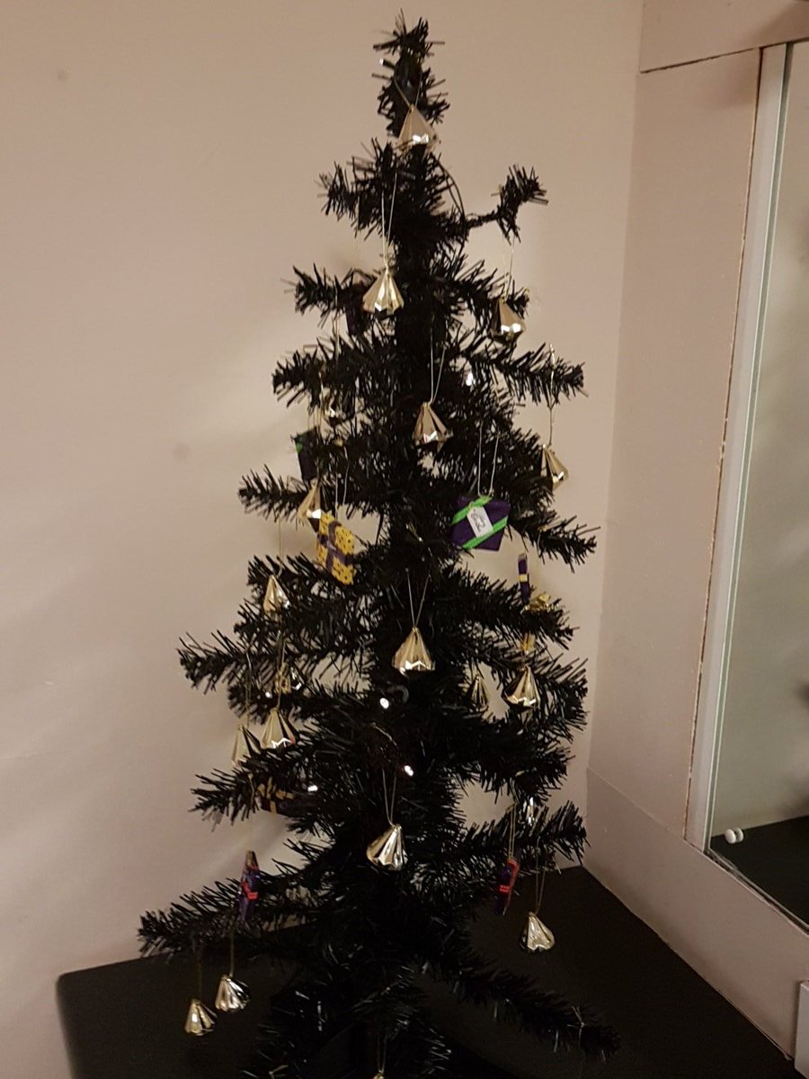 PaulChuckle2's tweet photo. Bit sparse .. needs more trimmings I've been told #MoreExpense 🎄 https://t.co/fnQcjoixdM