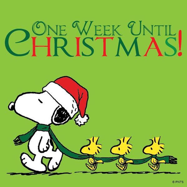 SherlocksPub's tweet photo. One week till Christmas!! #christmas #december #holidays https://t.co/RfvXBwpXyZ