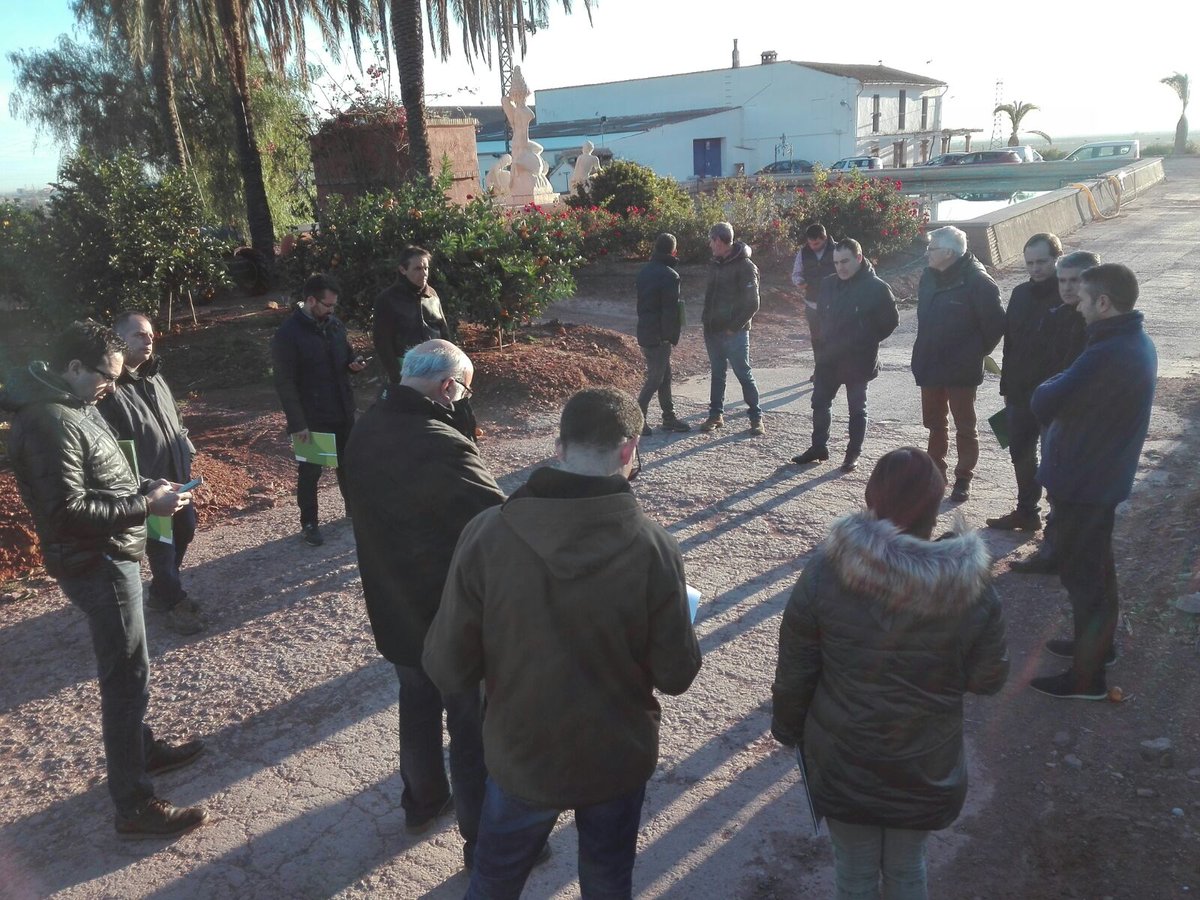 pfernandez1975's tweet photo. Hoy Jornada de Campo @Sipcam_es en citricos en la Comunidad Valenciana sobre correctores de hierro con magníficos resultados vs producto de la competencia y Testigo sin tratamiento #StiloMicroFerrale #FerraleEvo 🍊🍊 https://t.co/0dXAVd4Pt8