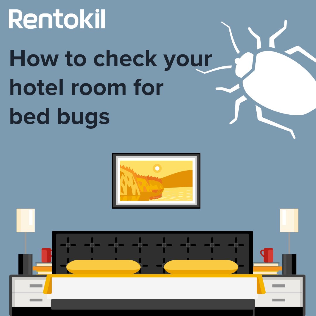 Rentokil's tweet image. Going away for Christmas?

Here's how to check your hotel room for bed bugs!

ow.ly/VtEM50fMsBi

#Christmas #BedBugs