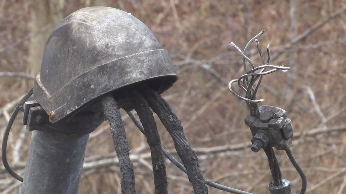 bridgettebjorlo's tweet photo. Two weeks after an electrical fire left more than 40 animals dead at the the Little Ponderosa Zoo, the owner is announcing plans to reopen December 30th and even hold a memorial ceremony for the lost animals. Details at 6 p.m. @6news #WATE https://t.co/BgSckfLkwL