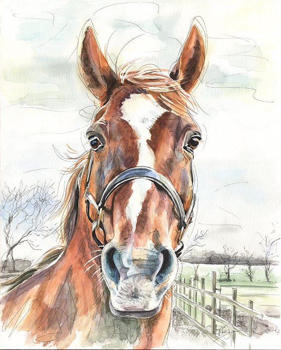 Did you know that pet commissions aren't limited to cats and dogs? No pet is too big or too small to be captured in a painting! Send us a message today for a quote 
#englishart #petcommissions #originalart #Horses
