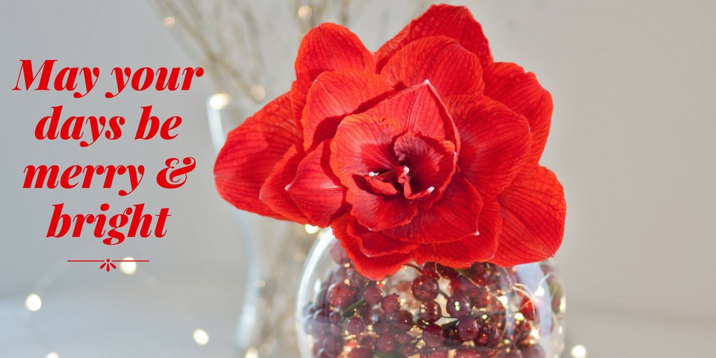 #QuoteOfTheDay #TisTheSeason