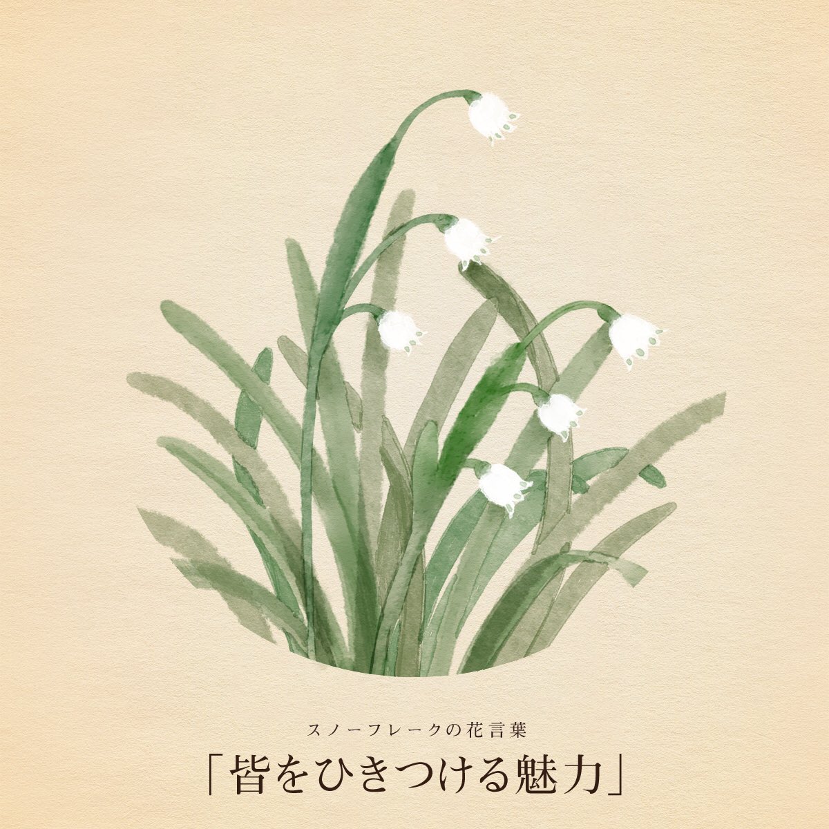 はな言葉 新刊出ました בטוויטר きょう12月19日は 国際南南協力デー 日本初飛行の日 誕生花はスノーフレーク 花言葉は 皆をひきつける魅力 はな言葉 新刊出ました בטוויטר きょう12月19日は 国際南南協力デー 日本初飛行の日 誕生花はスノーフレーク 花言葉は 皆をひきつける魅力