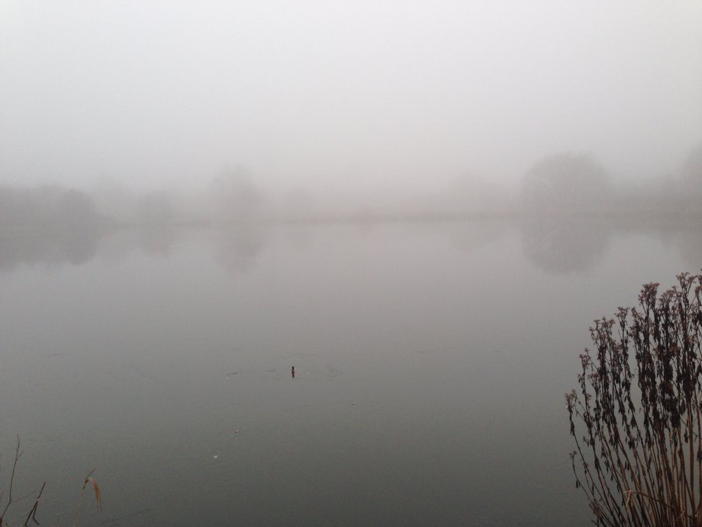 l88lra's tweet photo. Mist of the water nearby lodge #BlackAndWhitePhotos #500pxrtg @BWPMag #lancashire #nwfollowers #87rt #nwhour #picoftheday #piclogy @StormHour #ThePhotoHour #itvweather #bbcnw #potw #StormHour https://t.co/2FGYjoYy6q