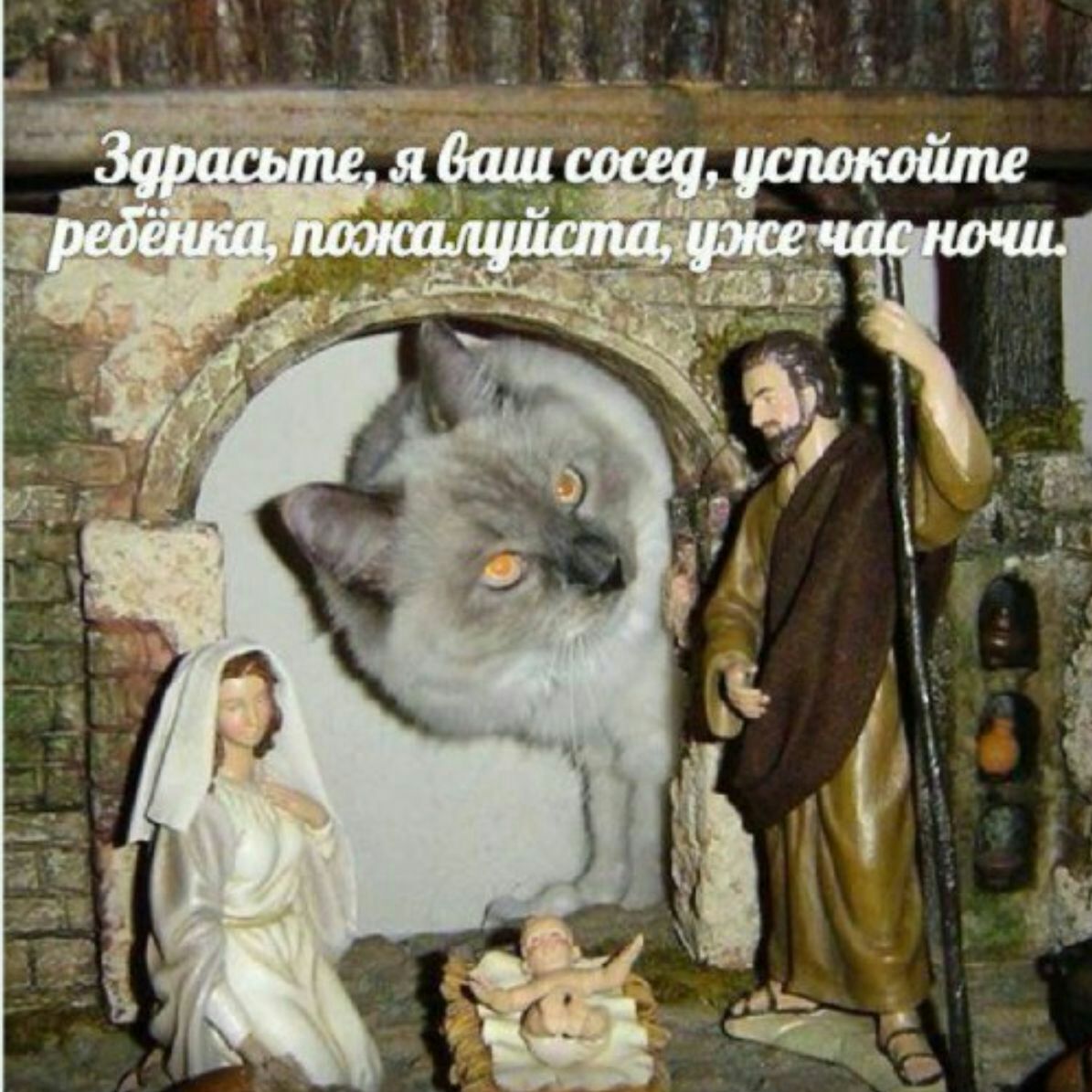 DRXSyUZWAAEdpRZ.jpg