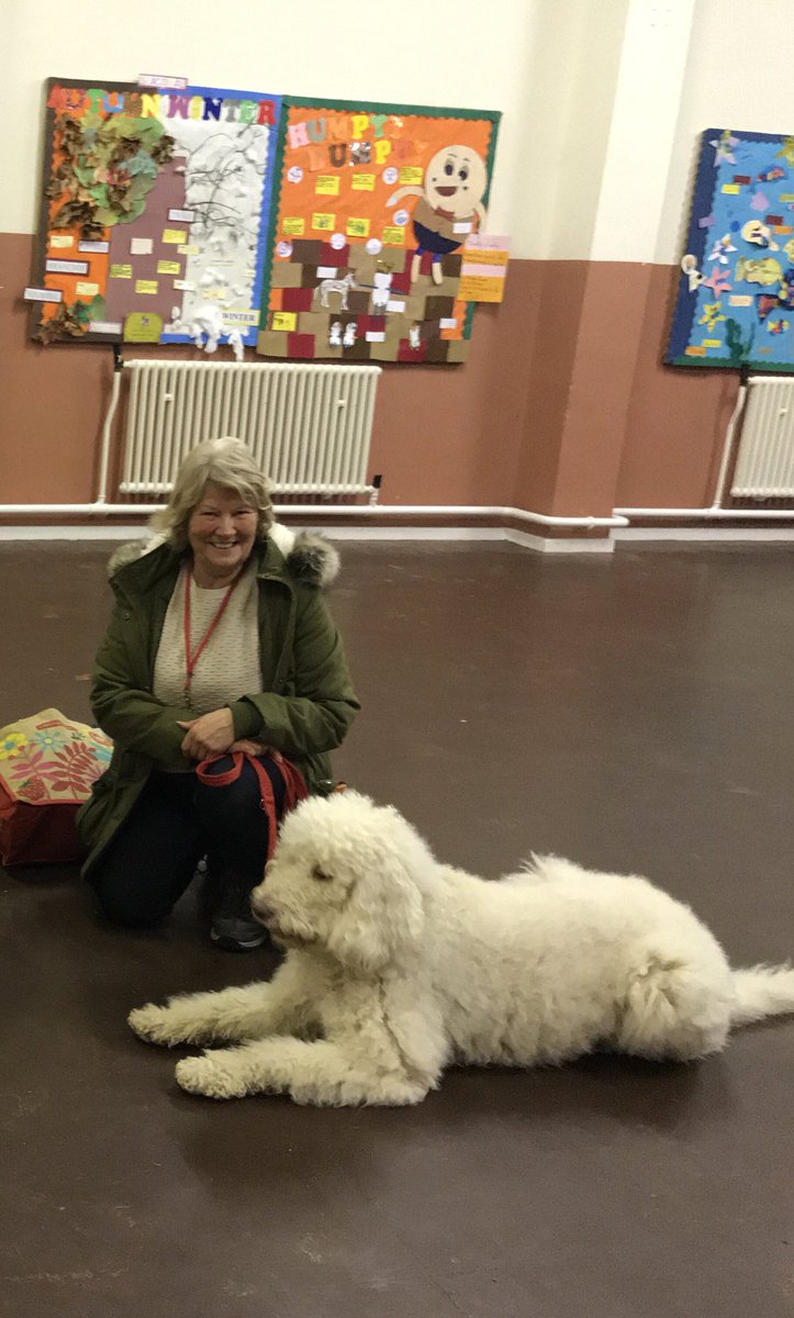 keegansknines's tweet photo. Woop Woop #goldaward achieved tonight. #Labradoodle #clevergirl #dogtraining #christmasclass https://t.co/sbVHPMeHl5