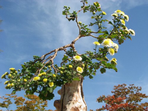 한 마디의 말이 들어 맞지 않으면 
천 마디의 말을 더 해도 소용이 없다.
그러기에 중심이 되는 한 마디를 삼가서 해야 한다
-채근담-