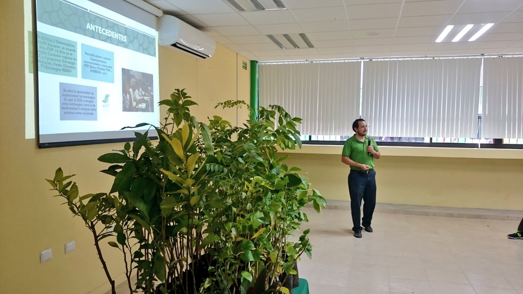 RecDrWalter's tweet photo. #UTECAN Presente; se llevó a cabo la Presentación del Acuerdo de Coordinación para la Sustentabilidad de la Península de Yucatán ASPY 2030 por personal de la @SEMARNATCAM en las instalaciones de nuestra Magna Casa de Estudios. https://t.co/7dHihMMe97