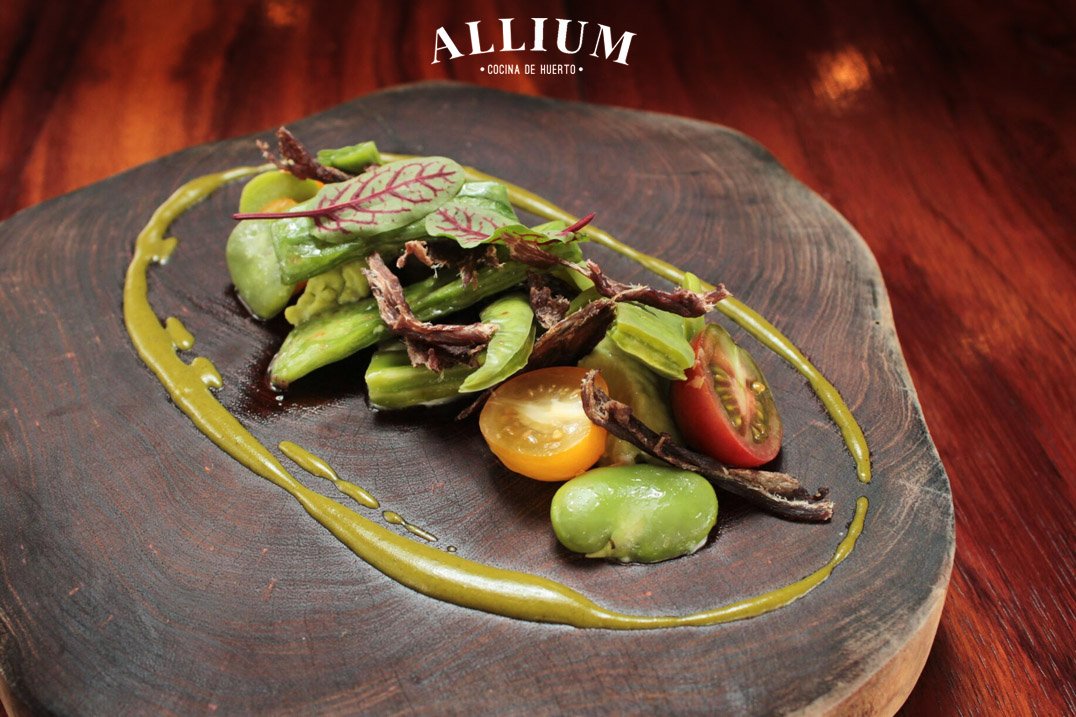 Allium te espera para vivir la mejor experiencia de la temporada. #ConoceAllium