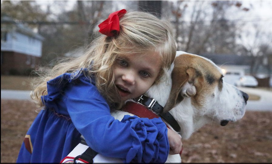CanineAngelsInc's tweet photo. Our biggest Canine Angel will look after a little angel: Autistic child gets help.https://t.co/XYOmiLo69A https://t.co/CsWiaYryS7