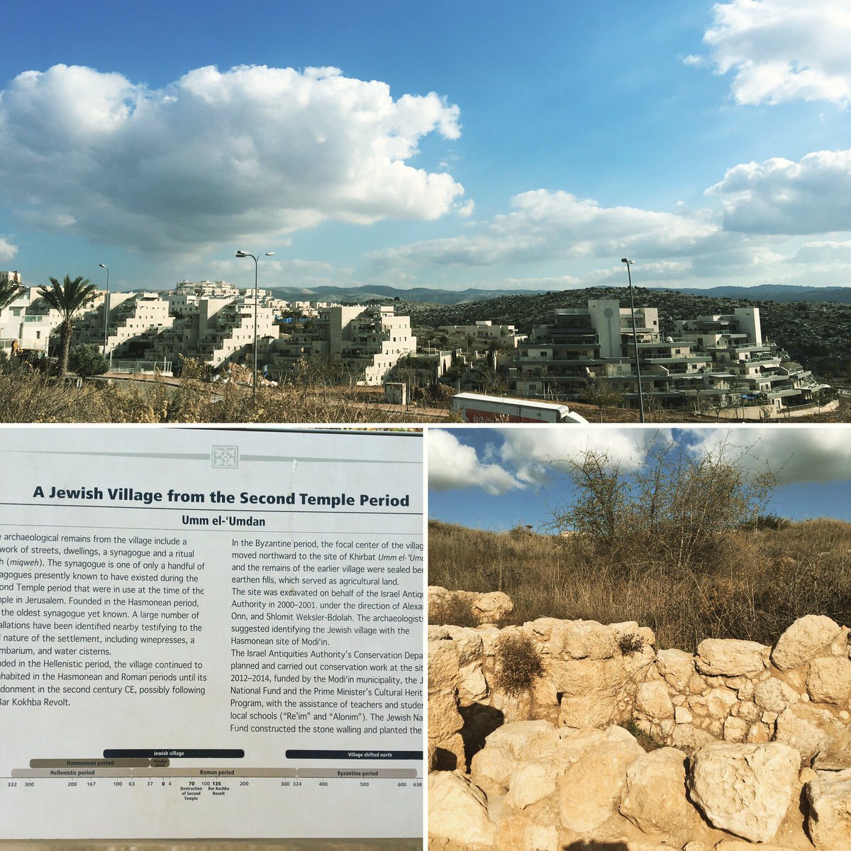 Ancient #modiin of #hanukkah lore may have been uncovered in a salvage #excavation for a new road in the thriving modern city. The #archaeological ruins of Umm el-'Umdan are the key to understanding the origins of the #macabees hometown. iwcarchaeology.com/single-post/20…