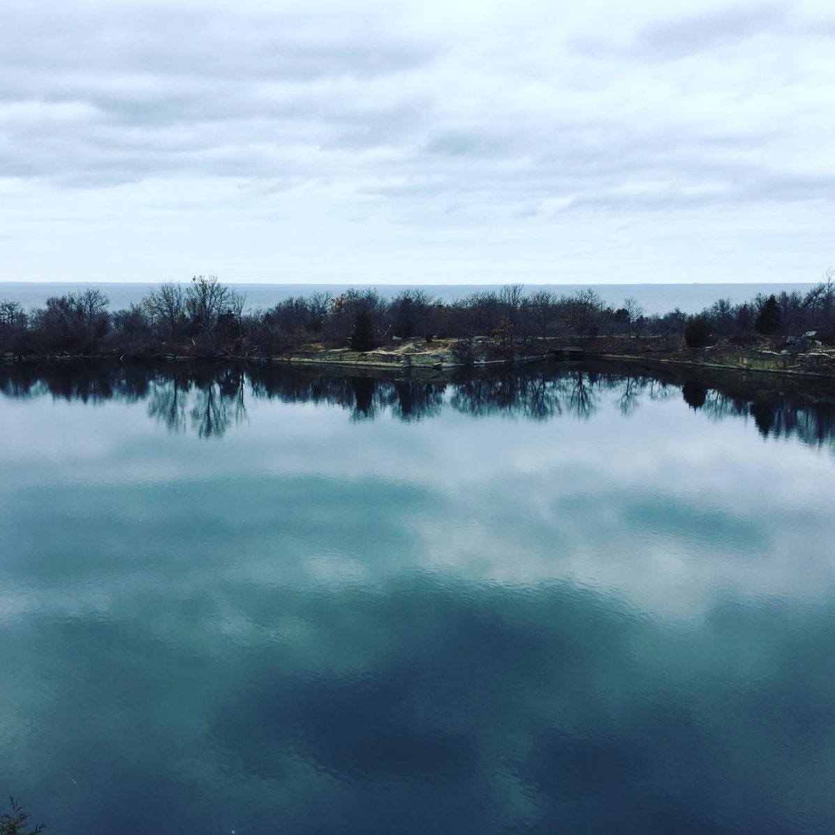 Electrona Robotics tweet media