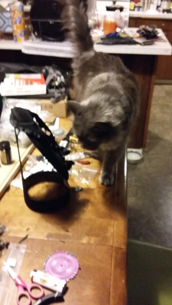 twenty2treetops's tweet photo. Sterling is the best assistant I could ask for. #ratbones #bonesaremagic https://t.co/094kwXvot2