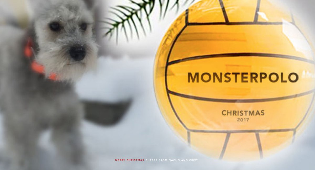 8 Days till #waterpolo #Christmas!