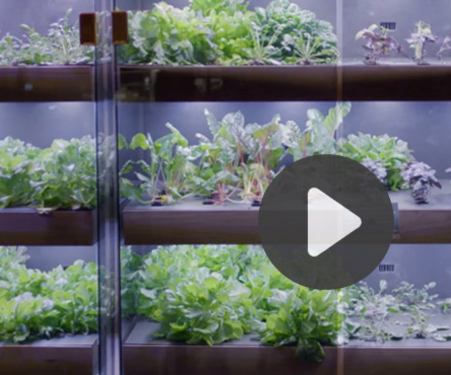 mitosis3d's tweet photo. Vídeos 3D: Jardinería con impresión 3D y mucho más…https://t.co/awsxD6WnGt https://t.co/x0JgQLOmTa