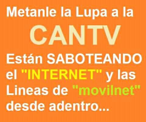 la_turrita tweet picture