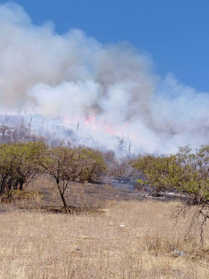 Com.Emergencias.Valp tweet media
