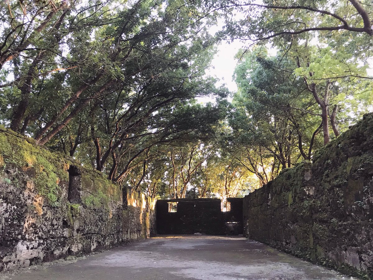 FindingDoro's tweet photo. #ThePopeTraveler #CamiguinAdventure πβ΅οΈπ΅ https://t.co/Qw6ix7AYEk
