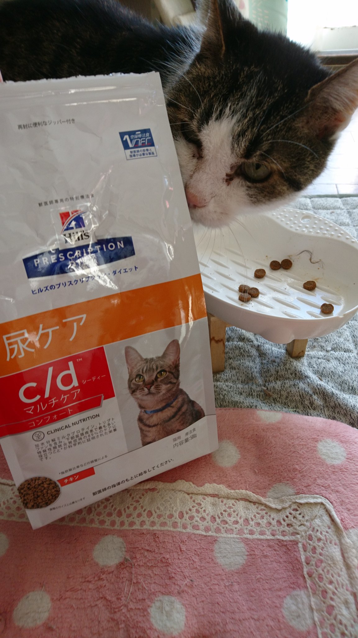 ヒルズ C Dコンフォートのメリット 口コミ 最安値の購入法 ペットのモノシリ