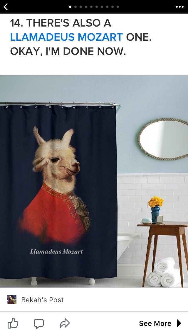 DramaHuman31's tweet photo. I need this #llamadeus #yaaaaas https://t.co/IrZmx5bnxh