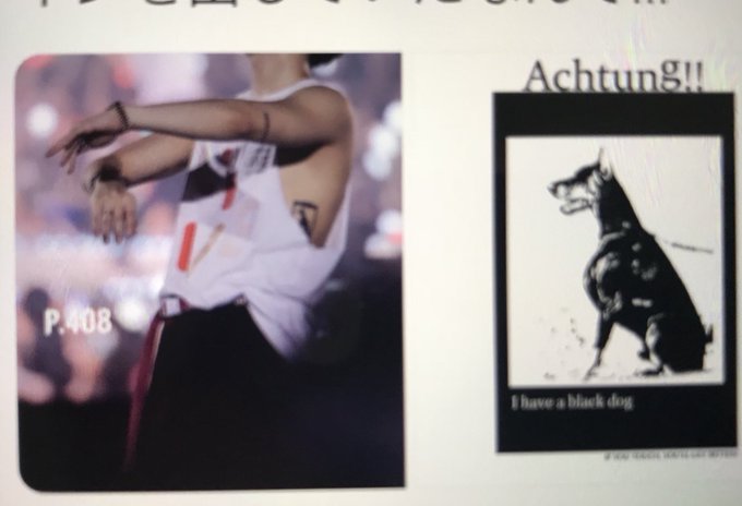 Shinee ジョンヒョン タトゥー犬の画像 意味や自殺との関係は K Dorapen Love