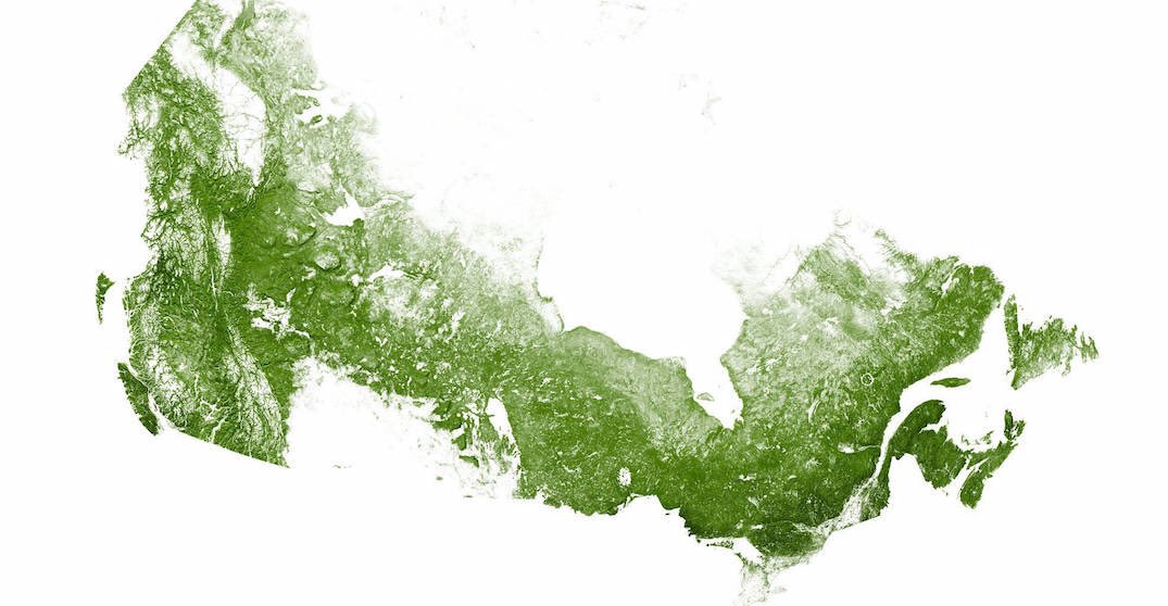 brent_bellamy's tweet photo. Interesting juxtaposition of Canada mapped by its forests and its roads. Maps via @EarthArtAus https://t.co/thdpZa6thR
