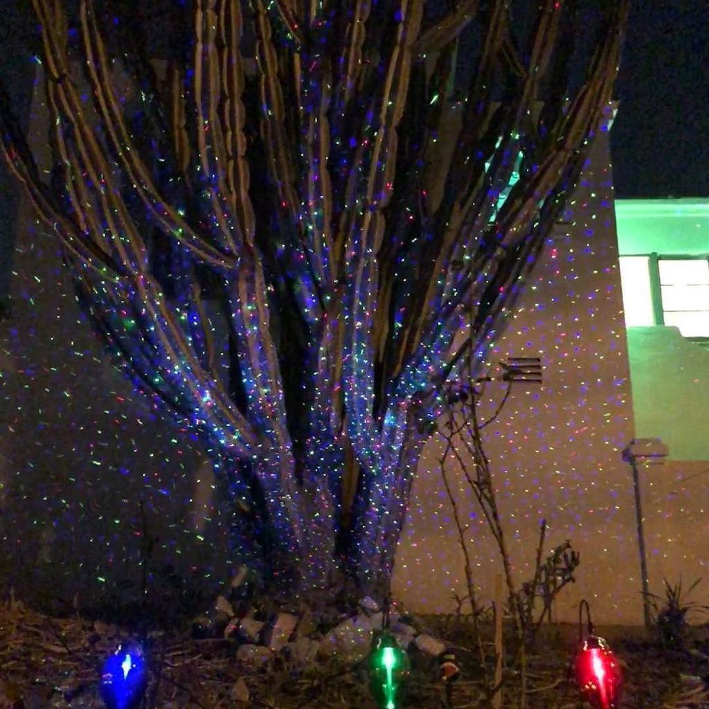 BrandonRuling's tweet image. Christmas in LA #christmascactus ift.tt/2oJ4bGc