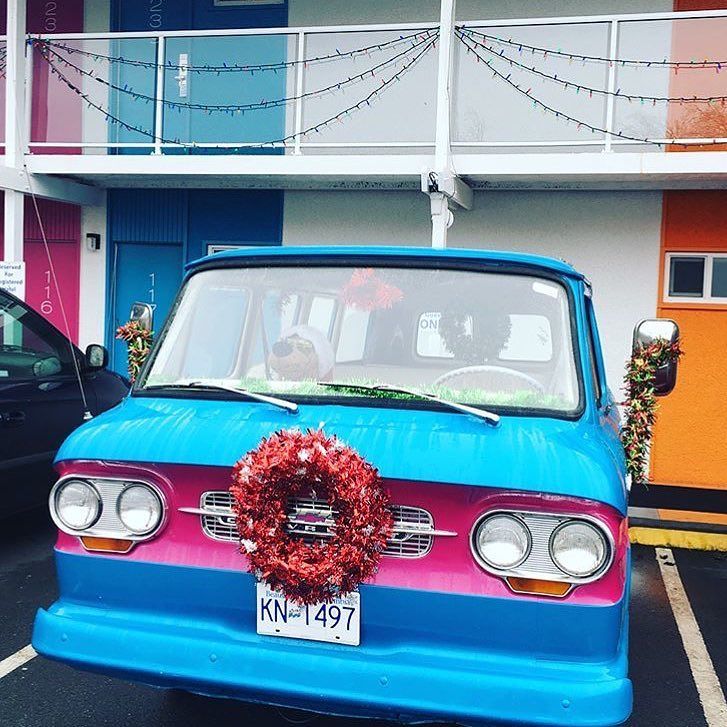 thehotelzed's tweet photo. Scooby is all decked out for the holidays. ๐๐
โค๏ธpic by @anafterschoolspecial .
.
.
#christmastime #christmascar #christmasdecorations #festivefun #deckthehalls #vintagecars #chevy #chevygreenbrier #vintagechevy #retrocars #restoredcar #decorateyourcarโฆ https://t.co/GeCgSZ8zZb https://t.co/t75fT11vP9