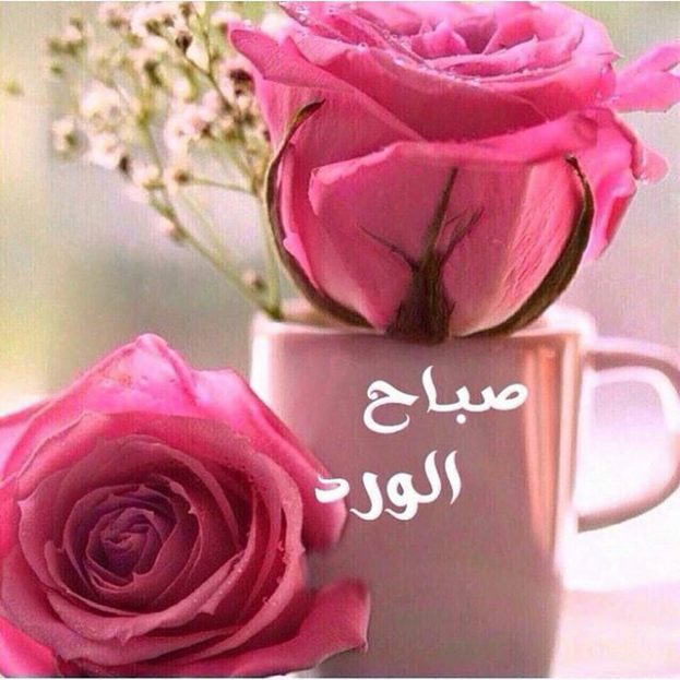 #قروب_أغلى_وطن
#صباح_السعادة_والأمل 
الجو [رايق] وابتدى به صباحـ😊ـي
يسعد صباح الطيبين [النشيطين]
ويسعد صباح اللي من[الليل]صاحي
يستاهلوا التصبيح حتى الكسـ😛ـولين
متابعينـ😘ـي 💙💖💙💖
لـ✍ J∞H