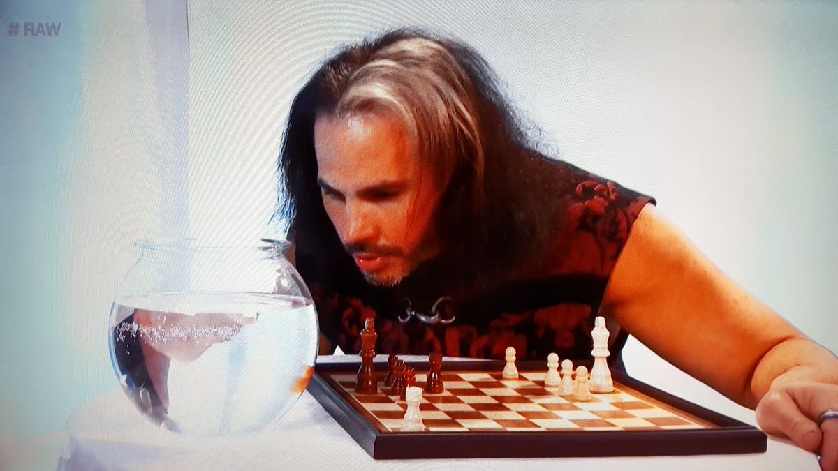 karubah's tweet photo. This is why I watch wrestling - a gold fish and chessboard promo. #wwe #endlesspromo https://t.co/TmWT0ARhQE