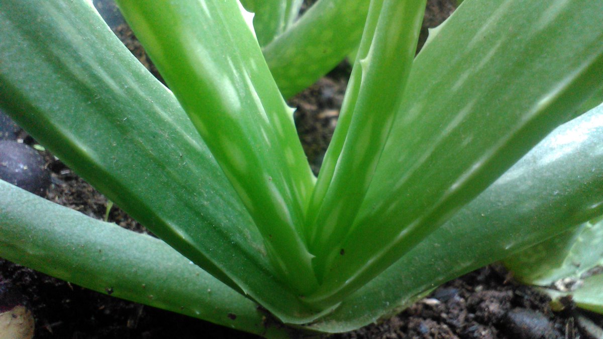 nouval_aditya (@mielo_dvg) on Twitter photo 