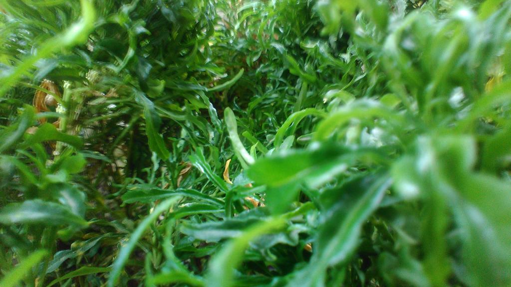 nouval_aditya (@mielo_dvg) on Twitter photo 