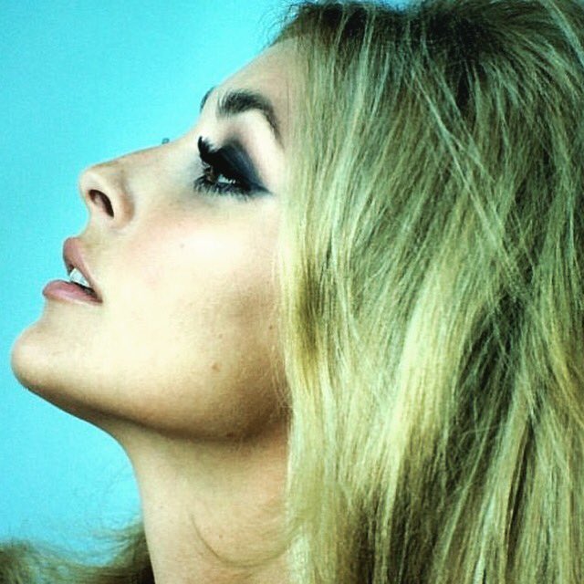 SimplySharonT's tweet photo. #SharonTate by #Hatami https://t.co/y9VZTDccJR