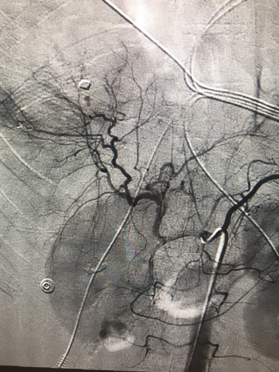 Missy Hite Potts tweet media