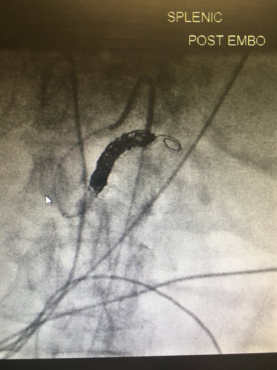 Missy Hite Potts tweet media