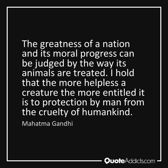ThrivabilityOrg's tweet image. We need more empathy and compassion in this world. #vegan #Gandhi #quote