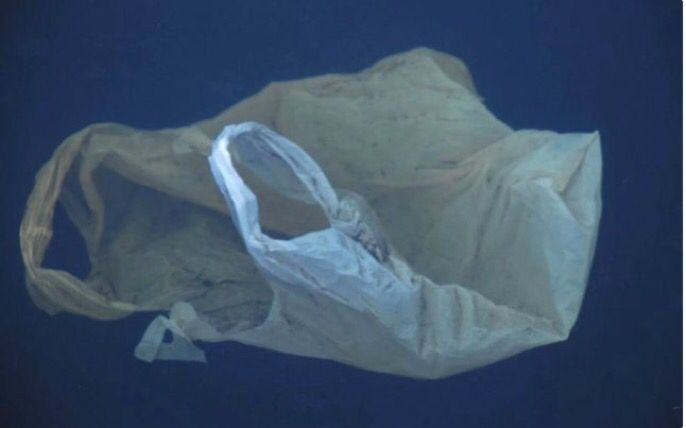 MikeHudema's tweet photo. BAM! Boston becomes the latest US city to ban #plastic bags. RT if you think your city should be next?
https://t.co/UQinmokC11

#EndOceanPlastics #BanTheBag #useless #wastelesa https://t.co/ViM1LpR85m