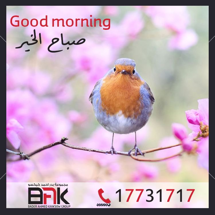 UcoEngineering's tweet image. #GoodMorning #Good_Morning #صباح_الخير #BAK #BAHRAIN #MANTECH #UCOENGINEERING #KAIKSOW #TILES #CERAMIC #CERAMICS #PORCELINE #PORCELAIN #SANITARY_WARE #SANITARYWARE #WASHBASIN #WASH_BASIN #البحرين #يوكو #يوكو_للهندسة #فلسطين #تقرير #Mantech #CCTV #منطق #حماية #System #security