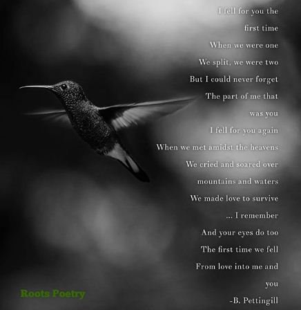 Bepo3tic's tweet photo. #poetrycommunity #poetry #poetry #poetryslam #poetlife #poetrylove #hummingbird #rootspoetry https://t.co/kkzY6ZNSbT