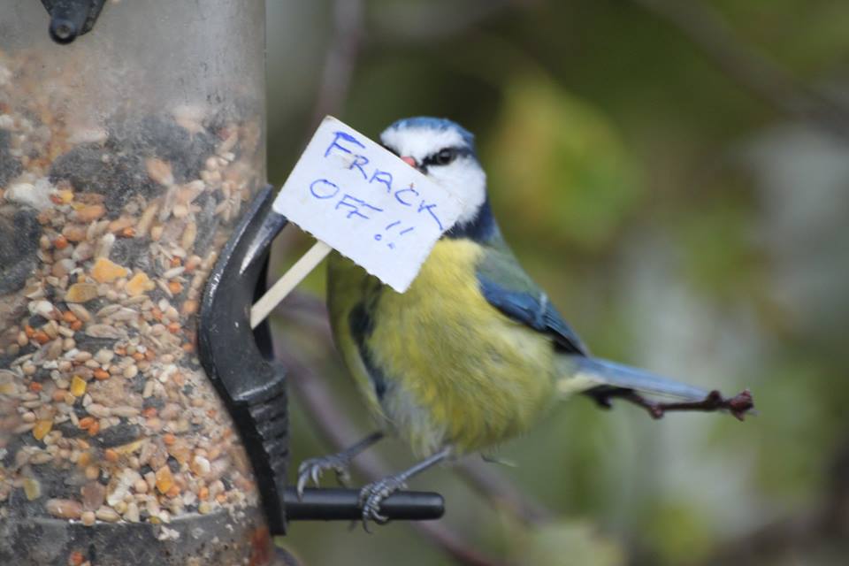 Km Protectors On Twitter Loving This Shot Taken At The Gates To