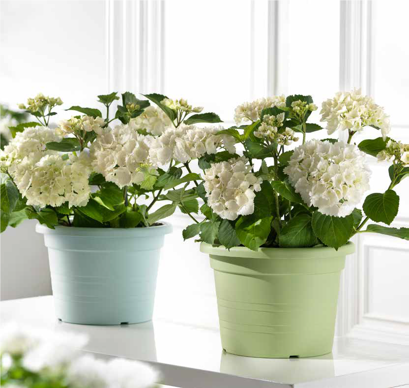vecamericausa's tweet photo. #fashion #beautiful #art #happy #nature #planters #modern #homedesign https://t.co/q8TRYDcnYF