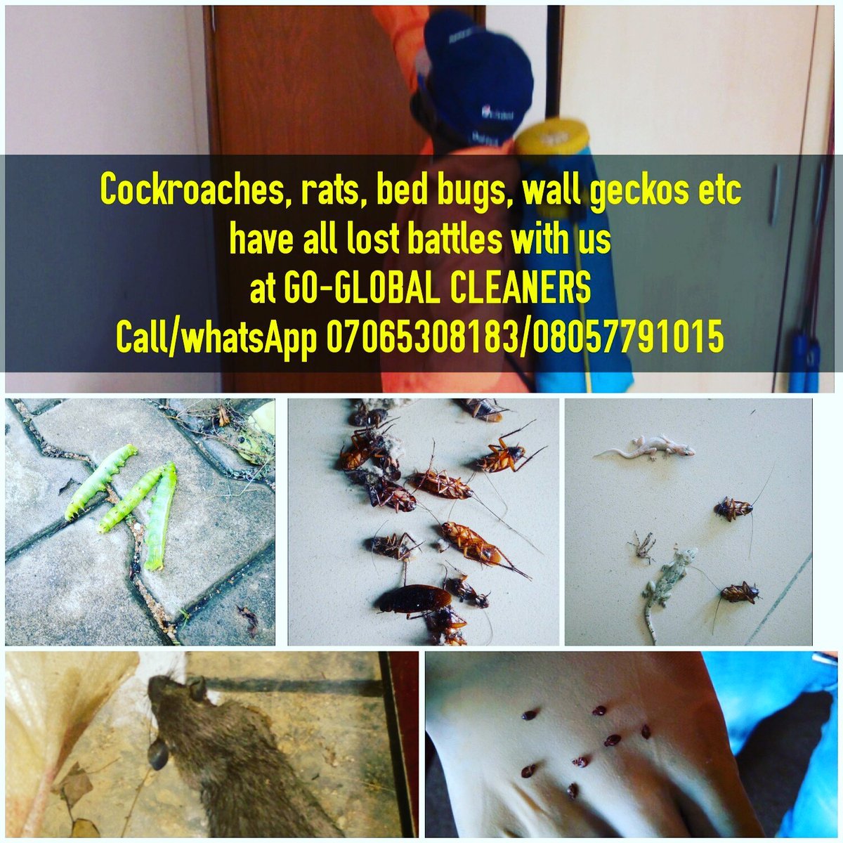 GoCleaners's tweet photo. https://t.co/C6AMQnhQp5